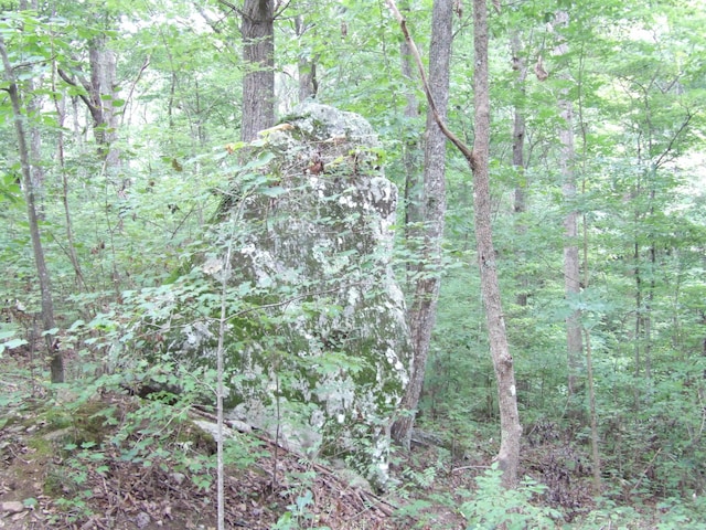 098 Porch Rock Rd, Pikeville, TN 37367