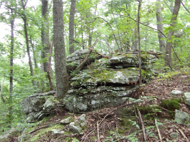 098 Porch Rock Rd, Pikeville, TN 37367