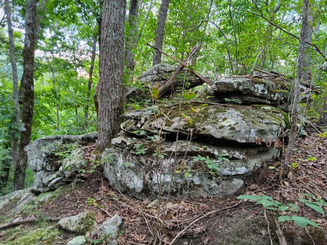 098 Porch Rock Rd, Pikeville, TN 37367
