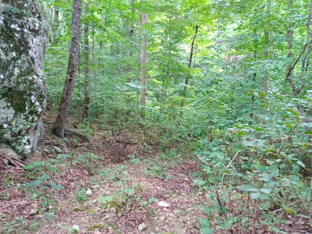 098 Porch Rock Rd, Pikeville, TN 37367