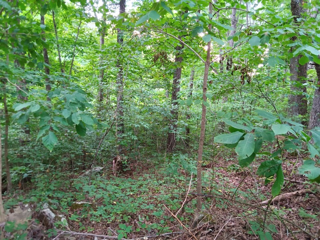 098 Porch Rock Rd, Pikeville, TN 37367