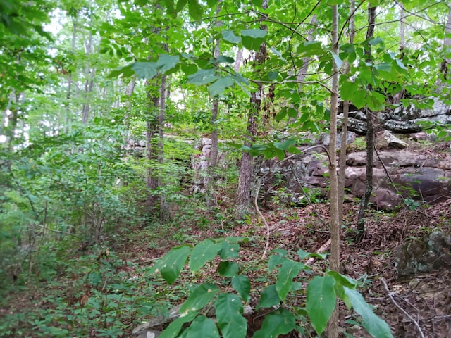 098 Porch Rock Rd, Pikeville, TN 37367