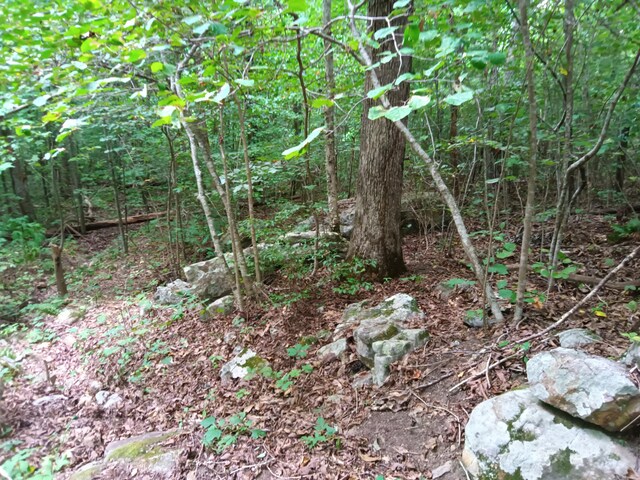 098 Porch Rock Rd, Pikeville, TN 37367