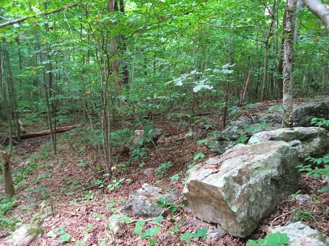 098 Porch Rock Rd, Pikeville, TN 37367