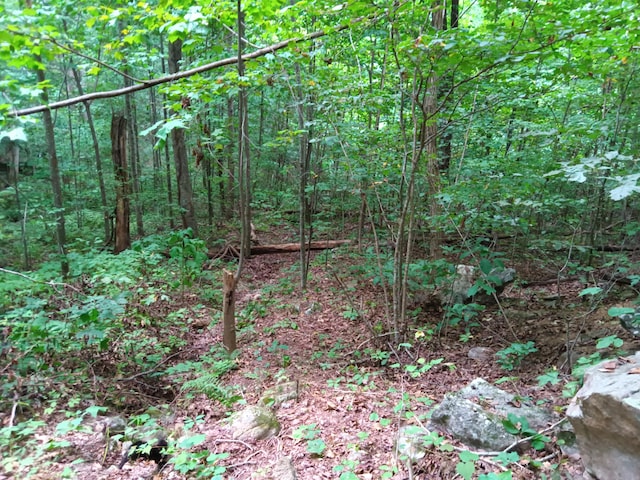 098 Porch Rock Rd, Pikeville, TN 37367