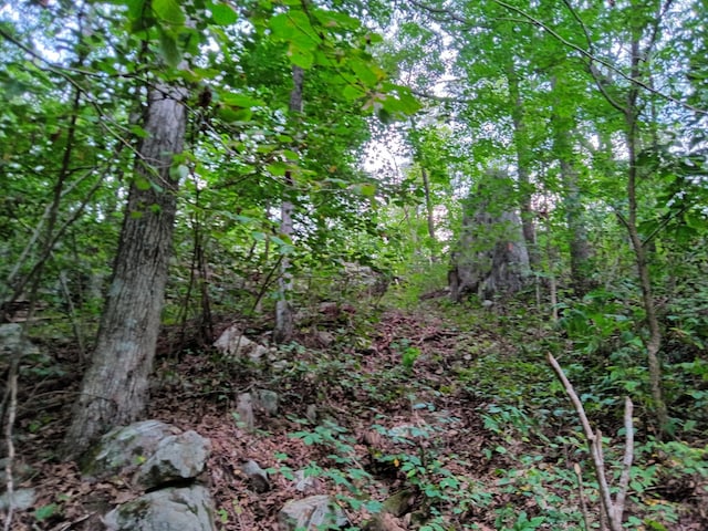 098 Porch Rock Rd, Pikeville, TN 37367