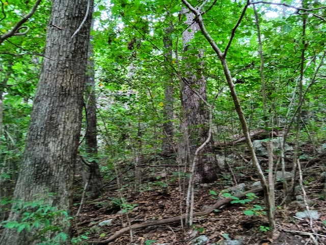 098 Porch Rock Rd, Pikeville, TN 37367