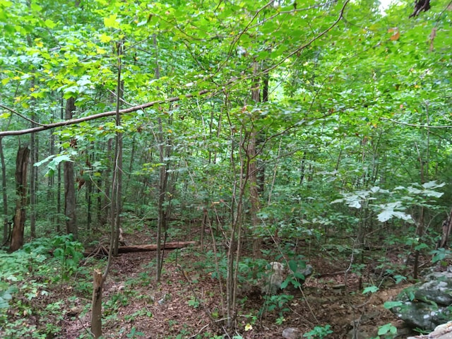 098 Porch Rock Rd, Pikeville, TN 37367