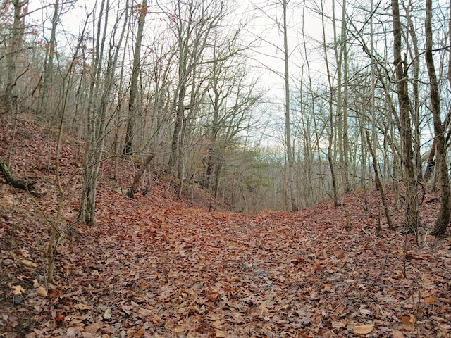 098 Porch Rock Rd, Pikeville, TN 37367