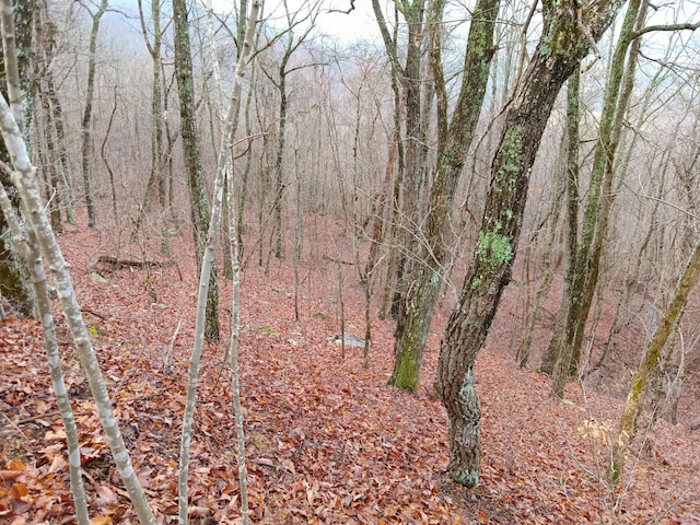 098 Porch Rock Rd, Pikeville, TN 37367