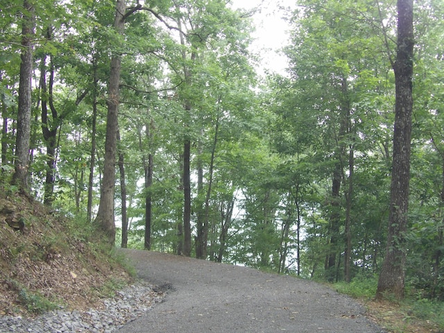 098 Porch Rock Rd, Pikeville, TN 37367