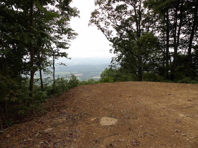 098 Porch Rock Rd, Pikeville, TN 37367
