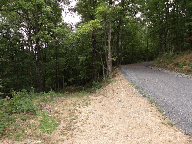 098 Porch Rock Rd, Pikeville, TN 37367