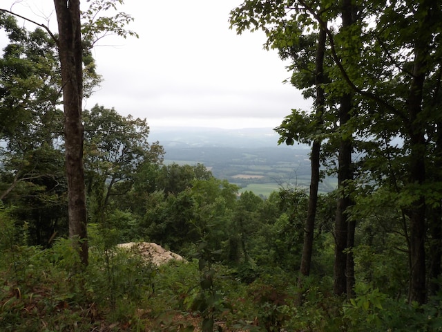 098 Porch Rock Rd, Pikeville, TN 37367