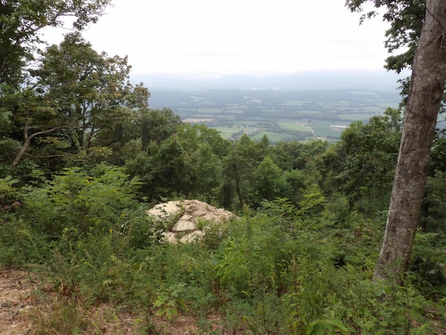 098 Porch Rock Rd, Pikeville, TN 37367
