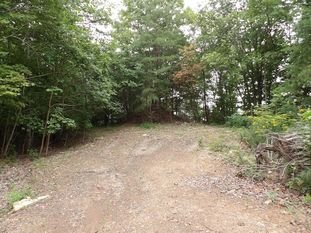 098 Porch Rock Rd, Pikeville, TN 37367