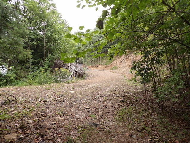 098 Porch Rock Rd, Pikeville, TN 37367