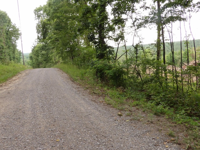 LOT11 Hughes Cemetery Rd, Evensville, TN 37332