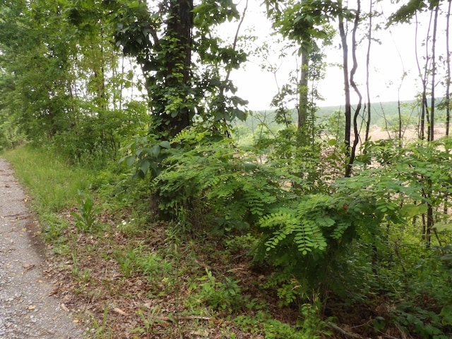 LOT11 Hughes Cemetery Rd, Evensville, TN 37332