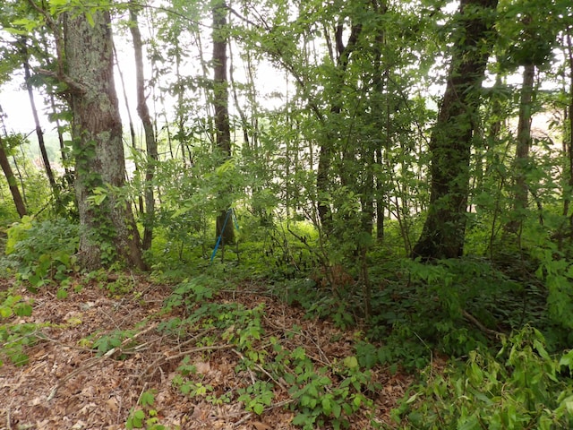 LOT11 Hughes Cemetery Rd, Evensville, TN 37332