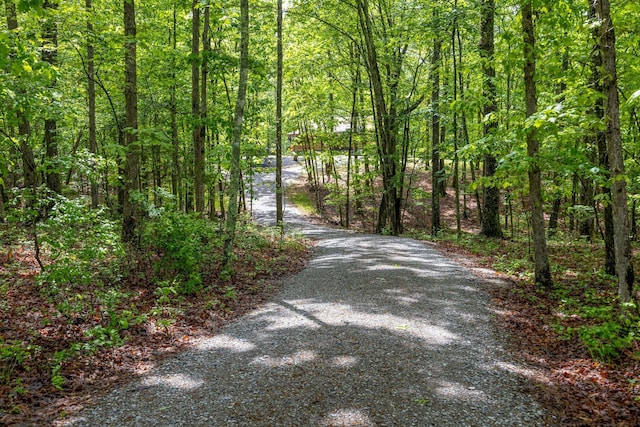 1590 Jackson Point Rd, Sewanee, TN 37375 - view of street featuring a forest view