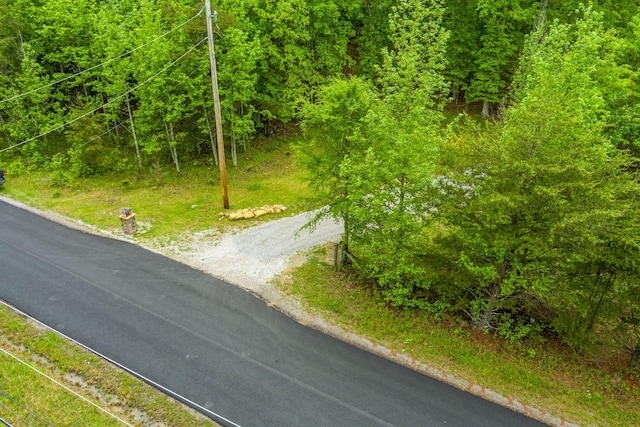 1590 Jackson Point Rd, Sewanee, TN 37375 - view of asphalt road