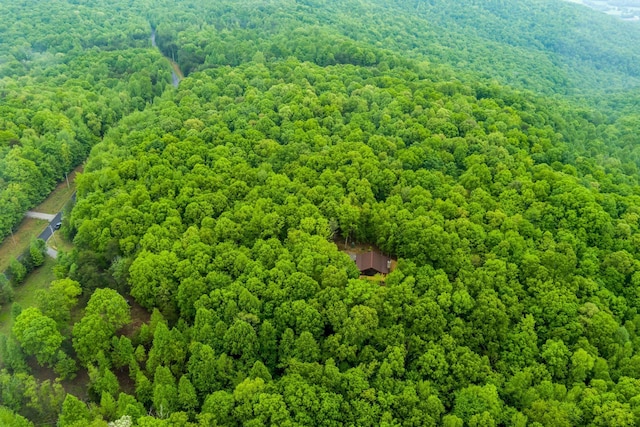 1590 Jackson Point Rd, Sewanee, TN 37375 - aerial view of a forest