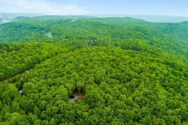 1590 Jackson Point Rd, Sewanee, TN 37375 - bird's eye view of a heavily wooded area