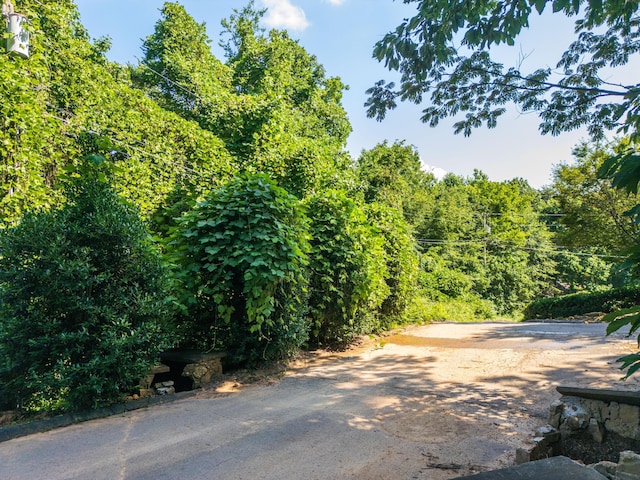 1425 Sunset Dr, Chattanooga, TN 37377 - photo 5