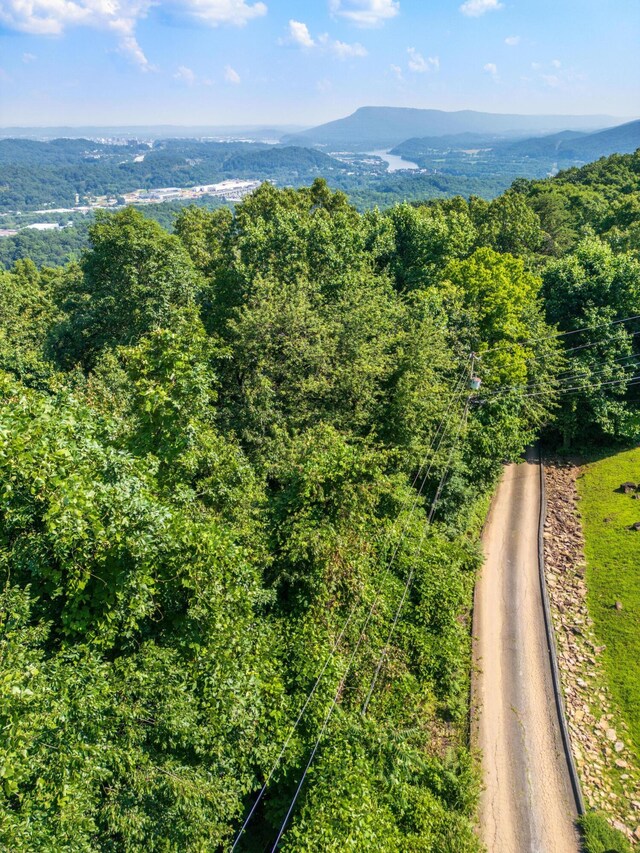 1425 Sunset Dr, Chattanooga, TN 37377 - photo 6