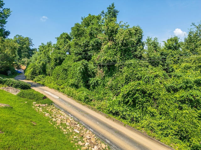 1425 Sunset Dr, Chattanooga, TN 37377 - photo 7