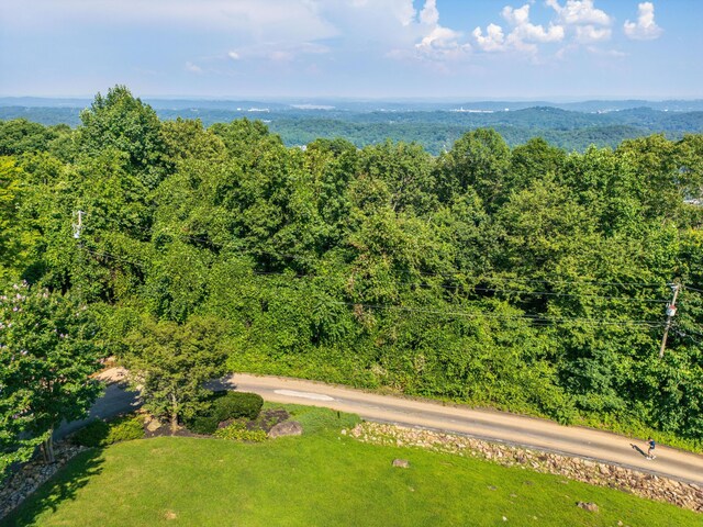 1425 Sunset Dr, Chattanooga, TN 37377 - photo 8
