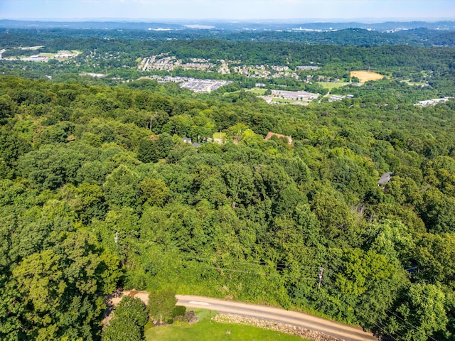 1425 Sunset Dr, Chattanooga, TN 37377 - photo 9