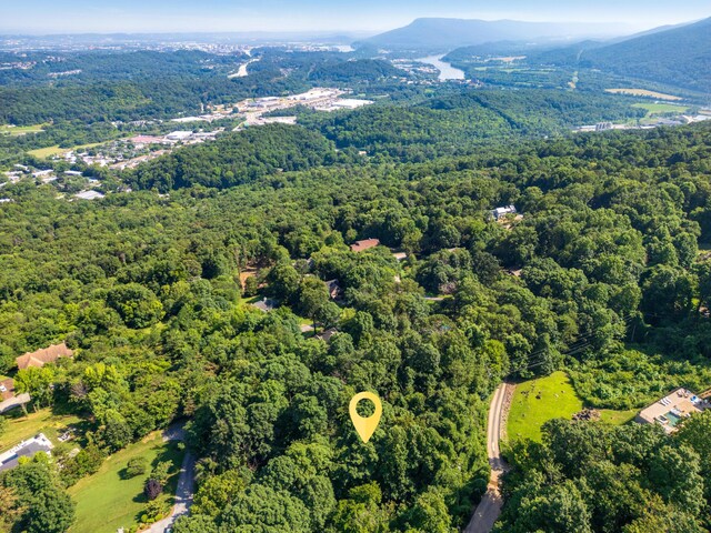 1425 Sunset Dr, Chattanooga, TN 37377 - photo 12