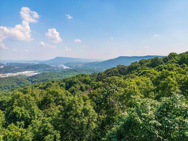 1425 Sunset Dr, Chattanooga, TN 37377 - photo 15
