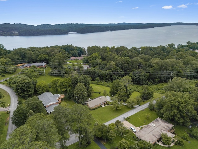4838 Glenmar Cir, Chattanooga, TN 37416 - aerial overview of property's location with a nearby body of water and a heavily wooded area