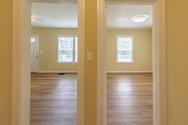 129 N Moore Rd, Chattanooga, TN 37411 - corridor featuring plenty of natural light, wood finished floors, and ornamental molding