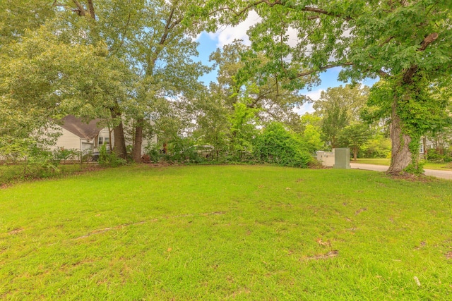 129 N Moore Rd, Chattanooga, TN 37411 - view of grassy yard