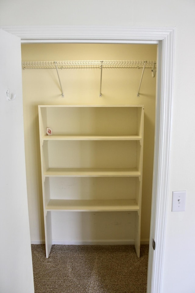 8257 Tiber Rd, Chattanooga, TN 37421 - spacious closet with carpet floors