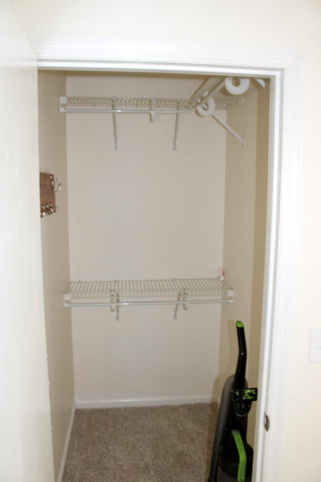 8257 Tiber Rd, Chattanooga, TN 37421 - view of closet