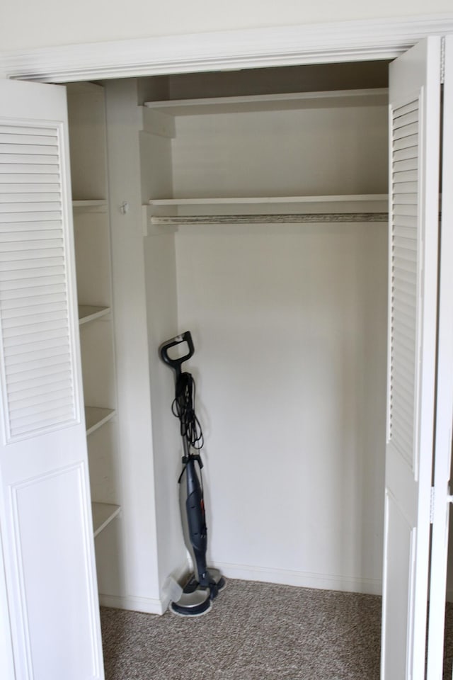 8257 Tiber Rd, Chattanooga, TN 37421 - view of closet