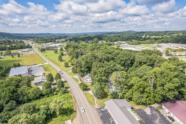 17855 State Highway 58, Decatur, TN 37322 - photo 12
