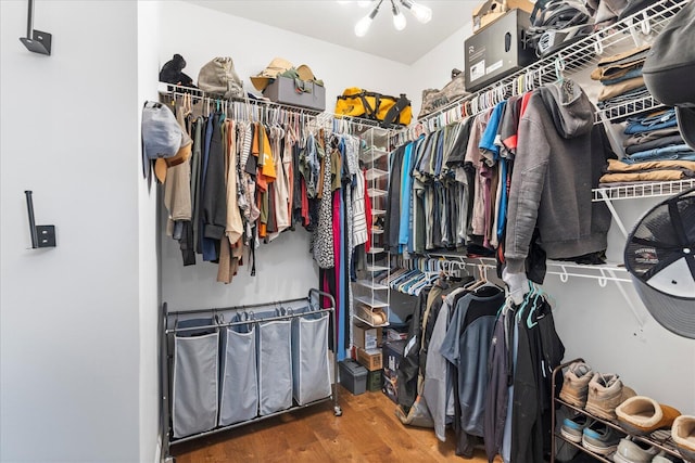 853 Dedmon Rd, Ringgold, GA 30736 - walk in closet with wood finished floors