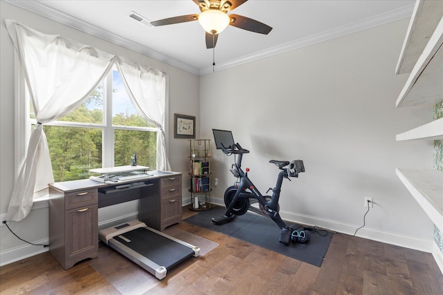 853 Dedmon Rd, Ringgold, GA 30736 - workout area featuring wood finished floors, crown molding, and ceiling fan