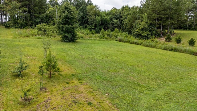 853 Dedmon Rd, Ringgold, GA 30736 - view of green lawn with a view of trees