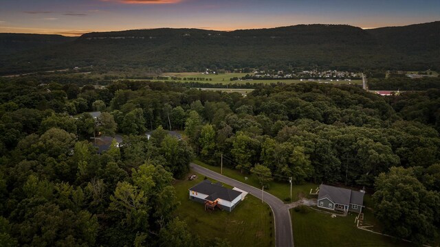 111 Oak Meadow Dr, Dunlap, TN 37327 - aerial view at dusk of a view of trees