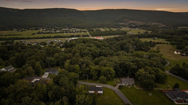 111 Oak Meadow Dr, Dunlap, TN 37327 - aerial view at dusk