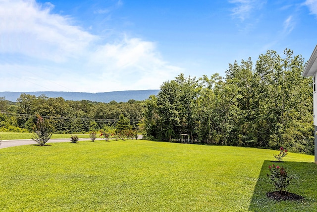 111 Oak Meadow Dr, Dunlap, TN 37327 - photo 64