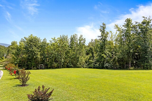 111 Oak Meadow Dr, Dunlap, TN 37327 - photo 6