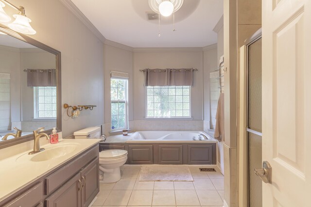 199 Falcons View Dr, Ringgold, GA 30736 - bathroom with healthy amount of natural light, vanity, a garden tub, tile patterned floors, and crown molding